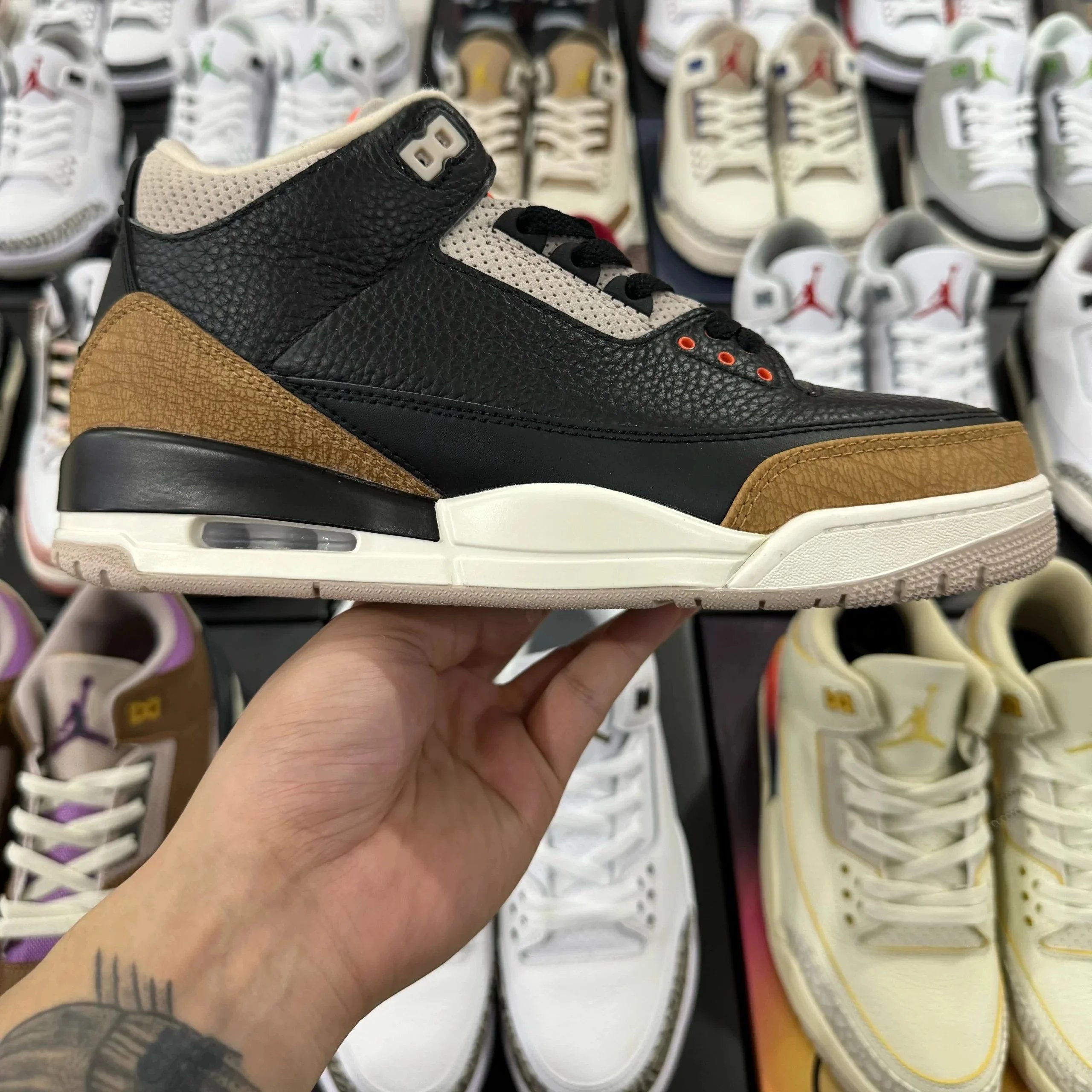 黑棕大象 黑棕大象