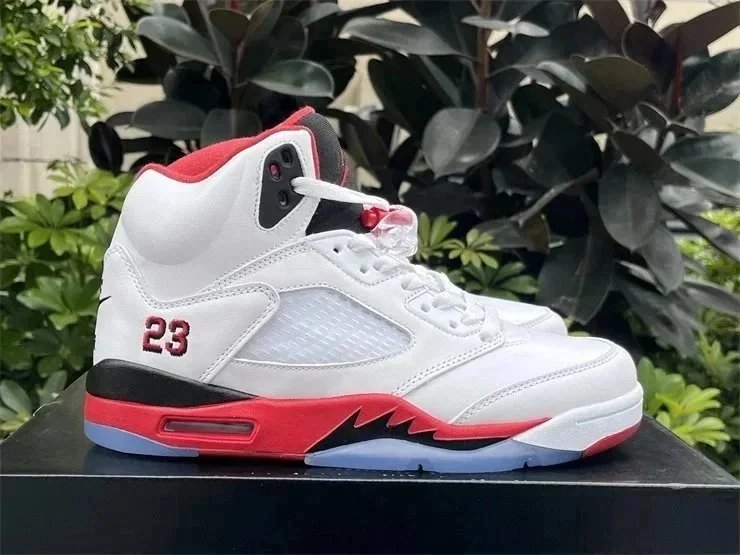 26 26