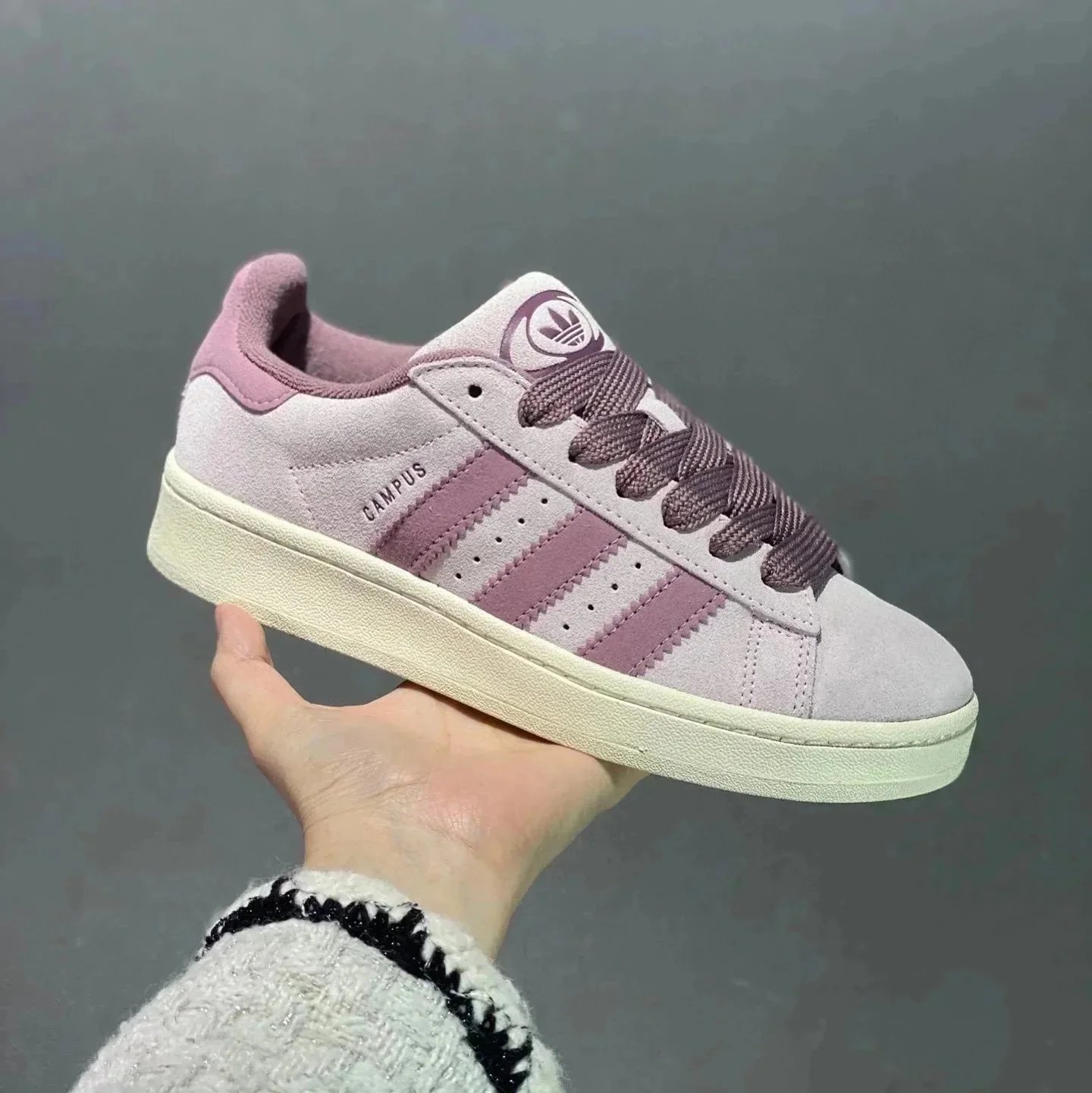 powder powder