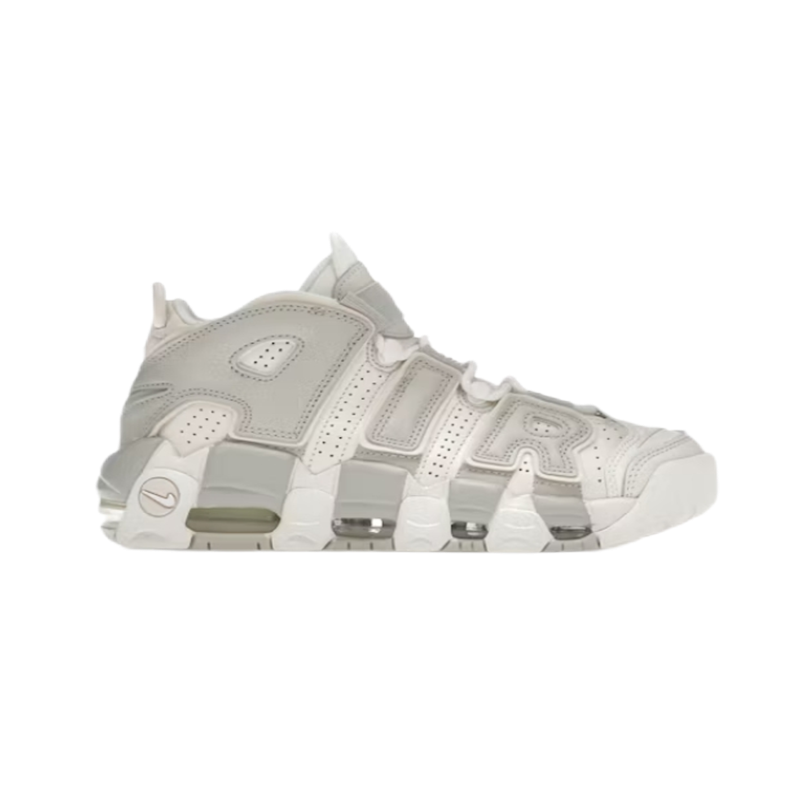 DV1137-101 DV1137-101
